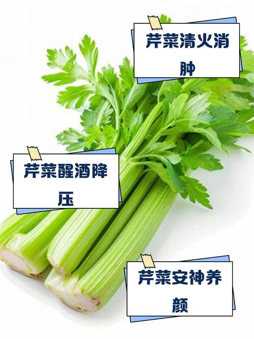 痛风患者能不能吃芹菜