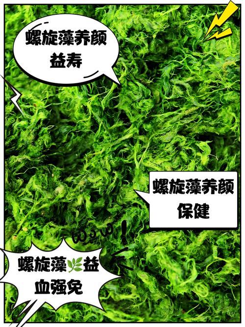 螺旋藻可以治疗痛风吗