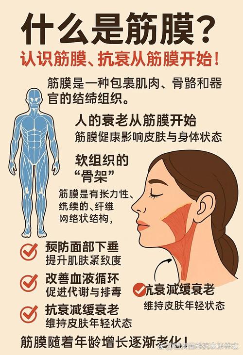 自体细胞抗衰除皱安全吗