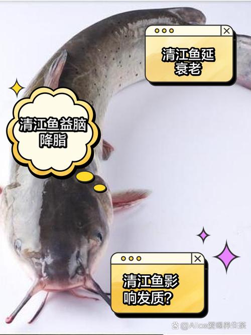 痛风者可以吃清江鱼吗