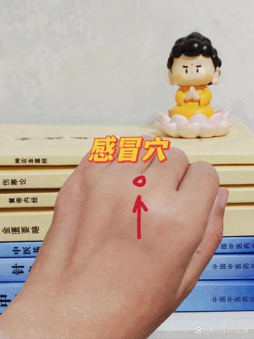 感冒发烧针灸哪些穴位