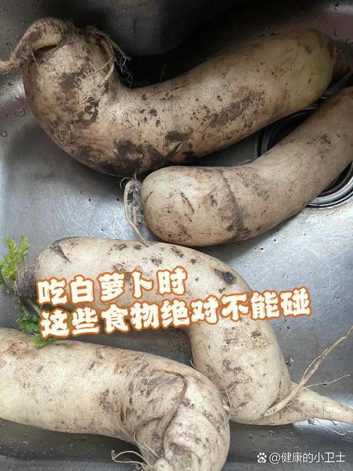 生吃白萝卜能治痛风吗
