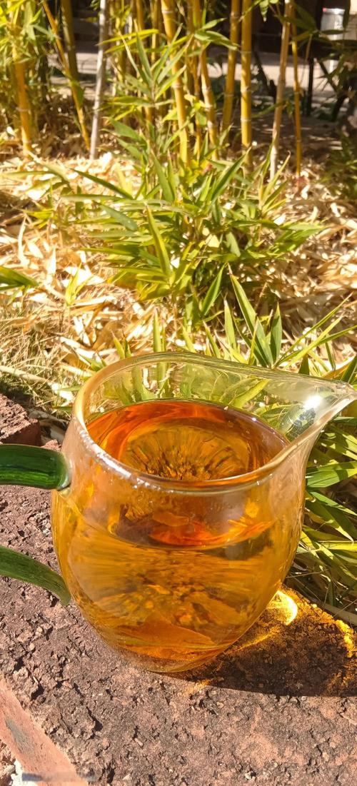 痛风患者可以喝白茶吗