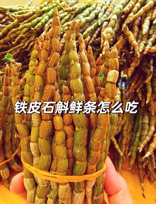 铁皮石斛痛风可以吃吗