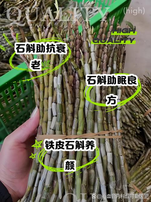 铁皮石斛痛风可以吃吗