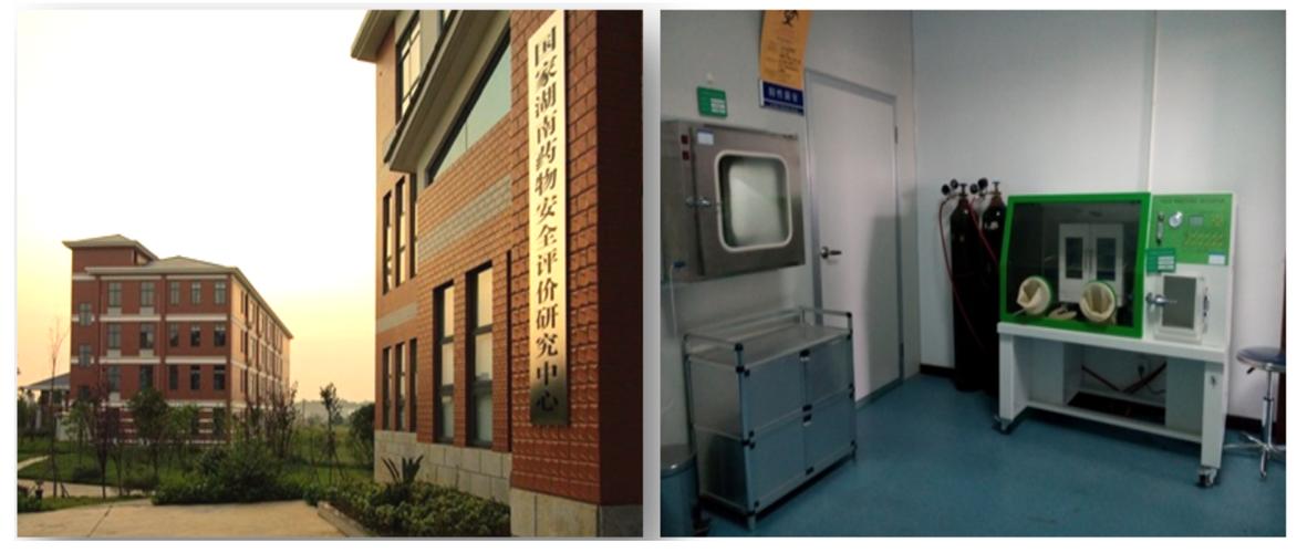 湖南药物安全评价中心