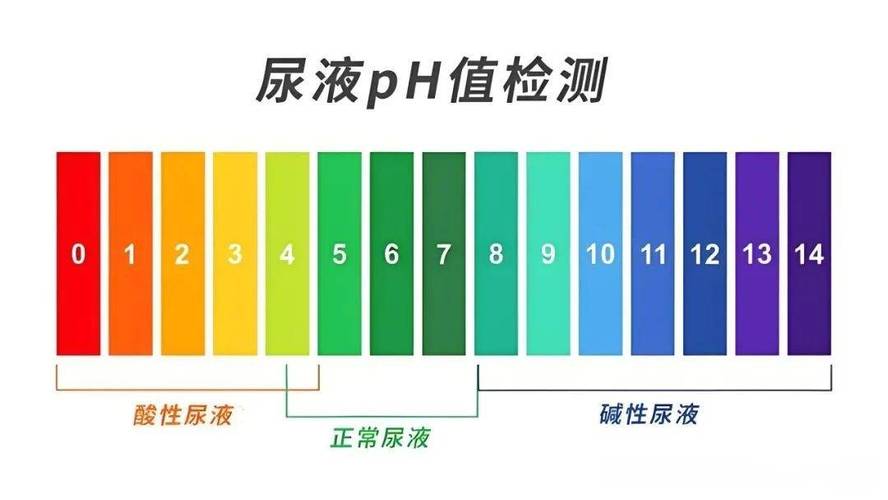 痛风尿常规有什么异常