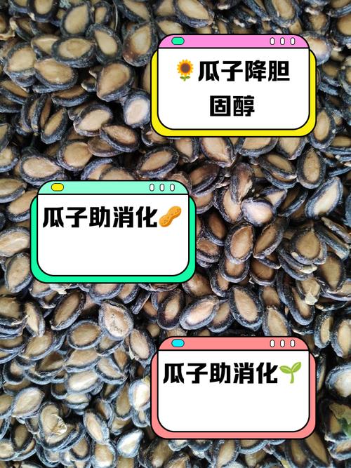 痛风患者能吃生瓜子吗