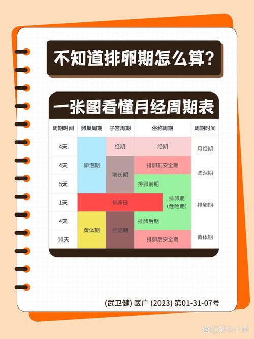 排卵期和安全期是什么