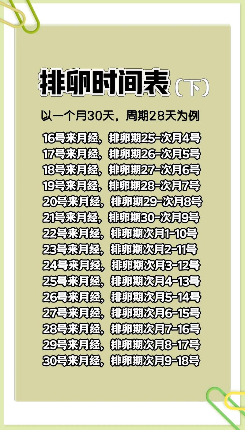 排卵期和安全期是什么