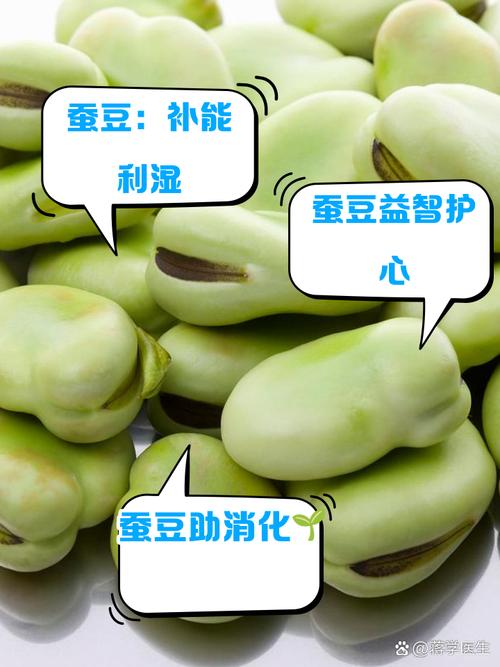 痛风的人可以吃蚕豆吗