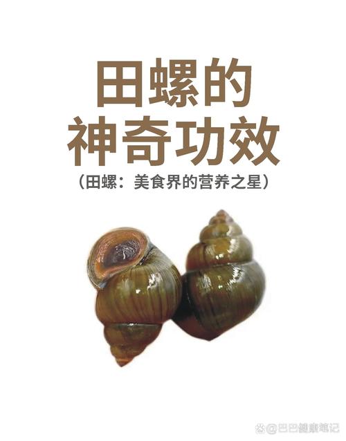 痛风的人可以吃田螺吗