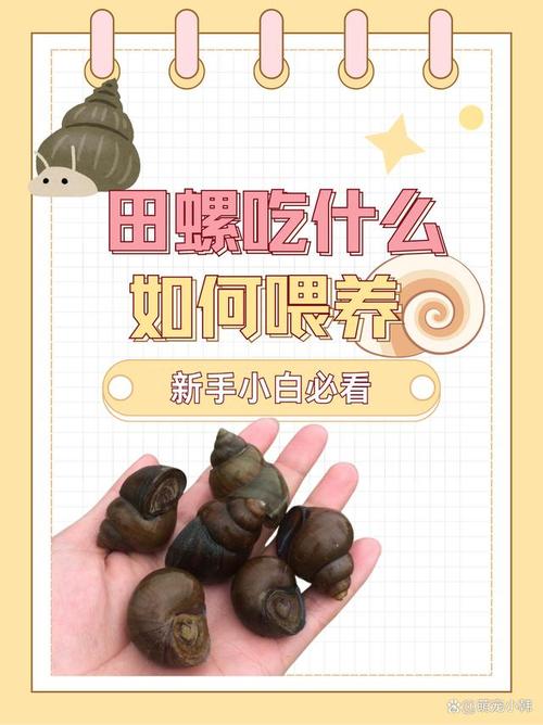 痛风的人可以吃田螺吗