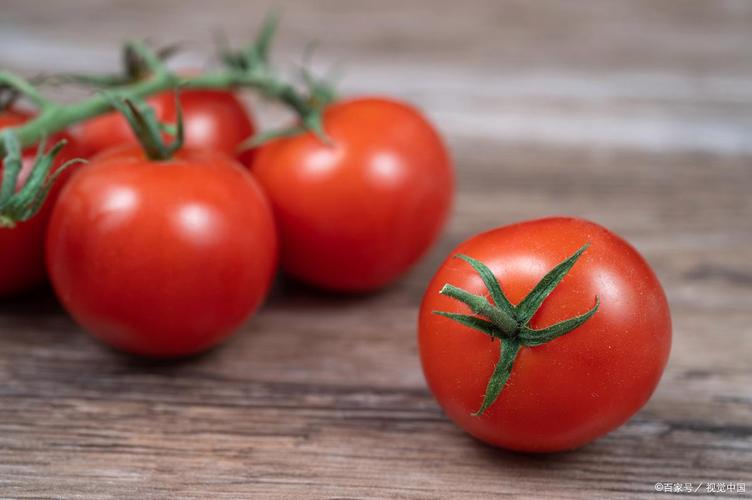 痛风病人能否吃西红柿