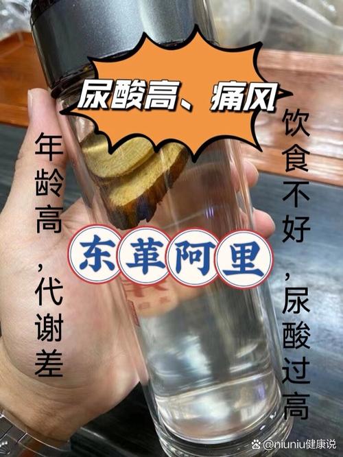 东革阿里 痛风石溶解