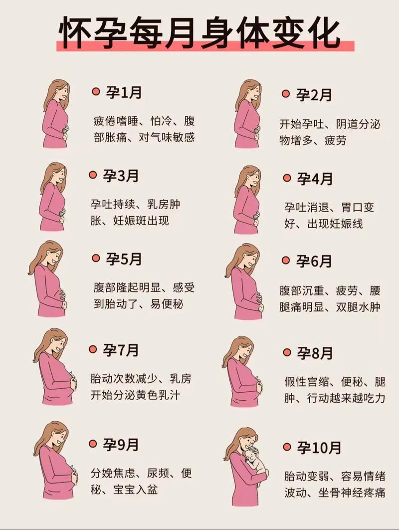 怀孕几个月后就安全了