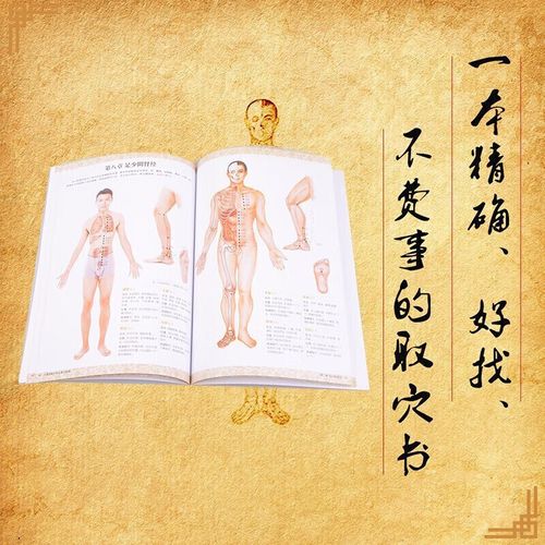 国家针灸穴位取穴标准