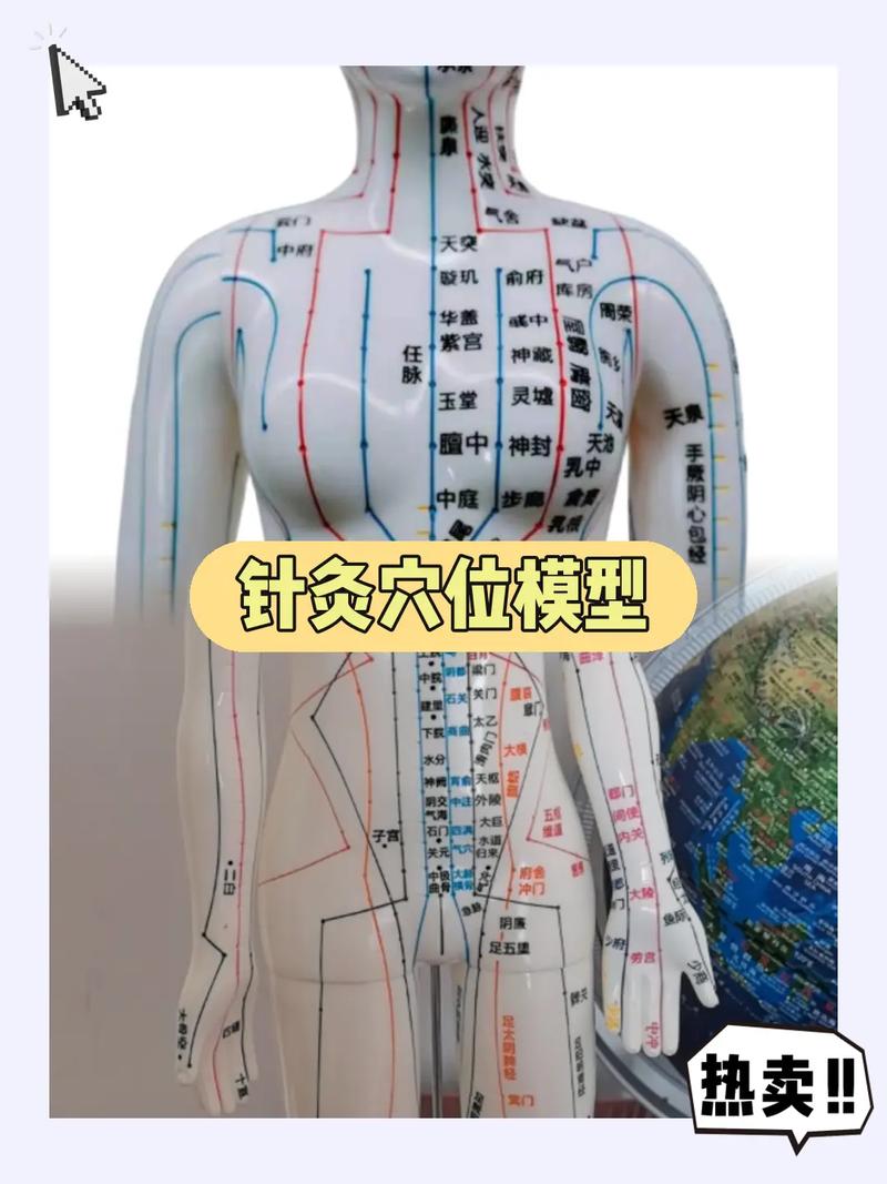 国家针灸穴位取穴标准