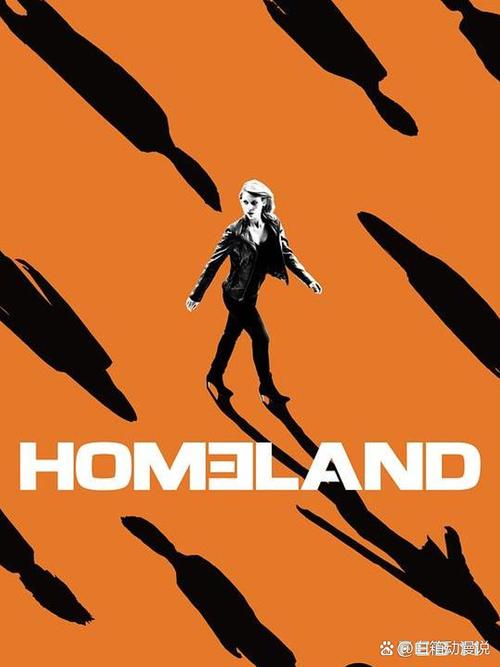 国土安全 奎恩 卡莉