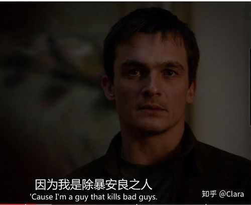 国土安全 奎恩 卡莉