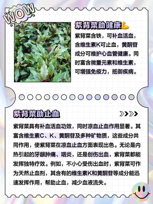痛风为什么不能吃紫菜