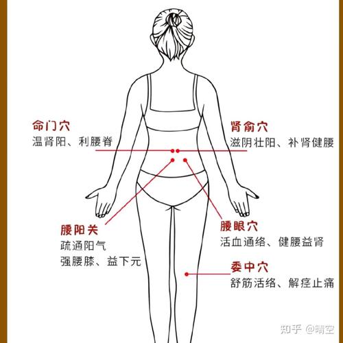 急性腰扭伤的针灸穴位