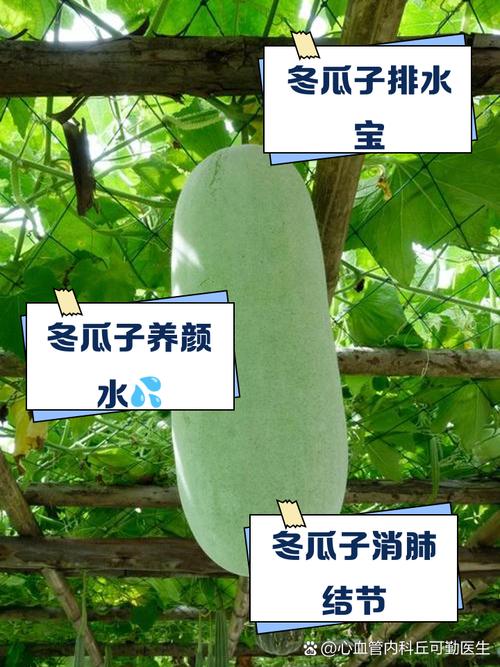 有痛风的人能吃冬瓜吗