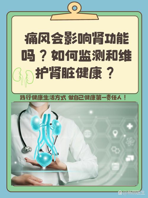 为什么痛风会影响肾脏