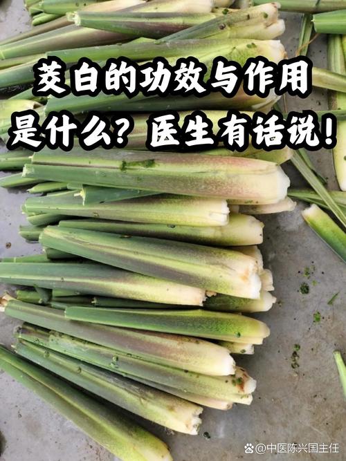 痛风患者可以吃茭白吗