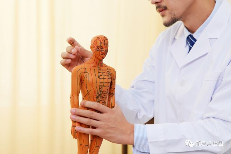 新西兰针灸一次多少钱