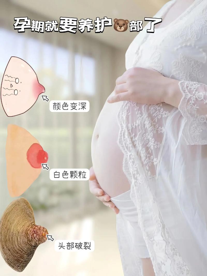 哺乳期 安全期 怀孕