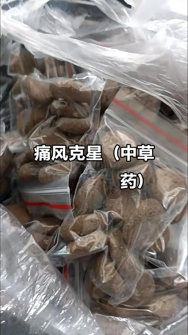 假性痛风治疗方法中药