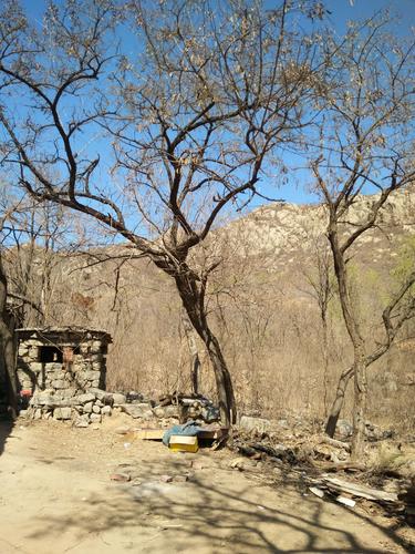 太平洋金玉兰广州职场