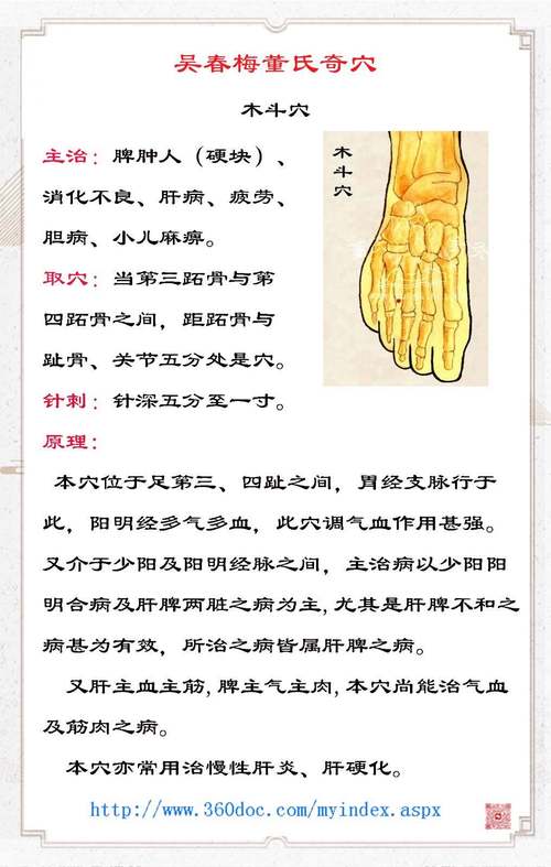 草木医学的木六针灸图