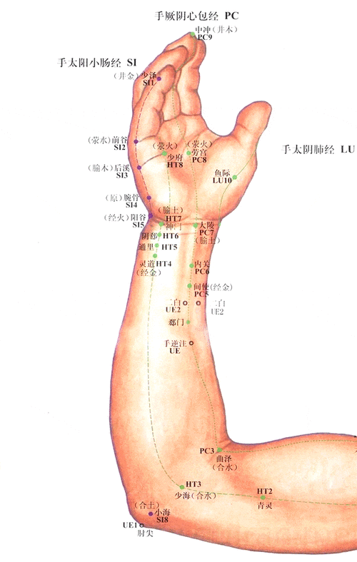 网球肘针灸灸那几个位