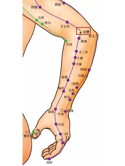 网球肘针灸灸那几个位
