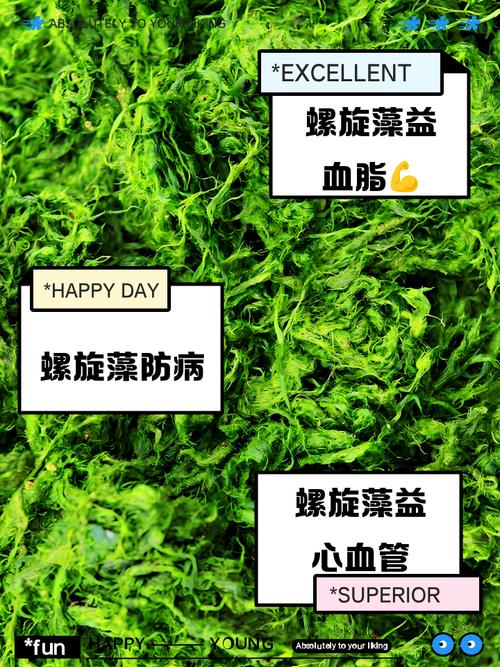 痛风病人能吃螺旋藻吗