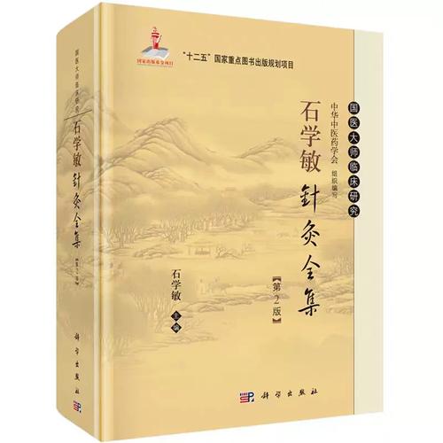 石学敏针灸学视频全集