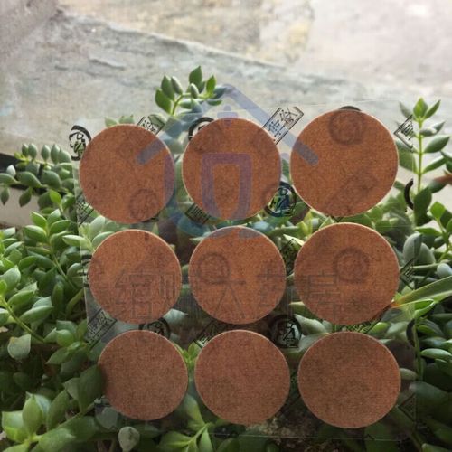 谷世喆贴针灸使用方法