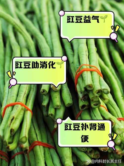 痛风病人可以吃豇豆吗