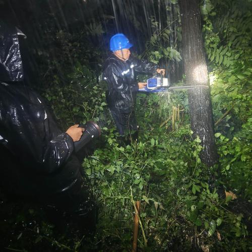 四川水电集团曾勇简历