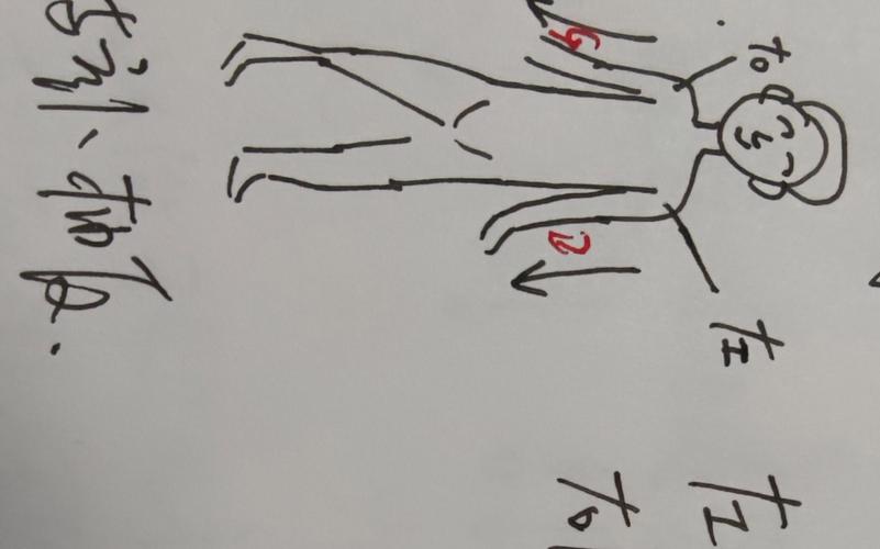 针灸捻转补泻手法图解