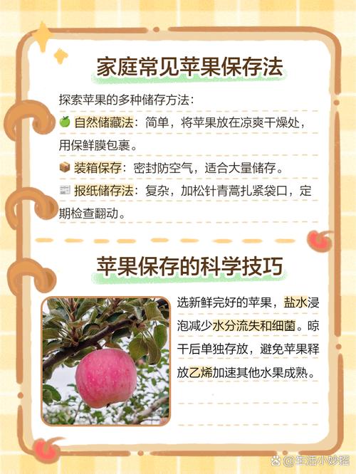 捡的苹果怎么使用安全