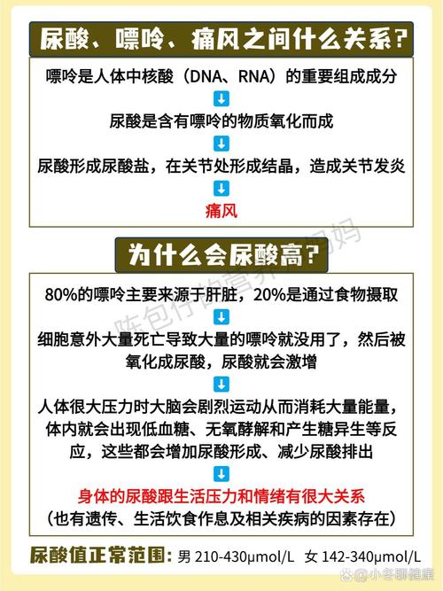 尿酸不高的痛风吃什么