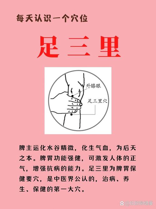 针灸足三里有什么好处