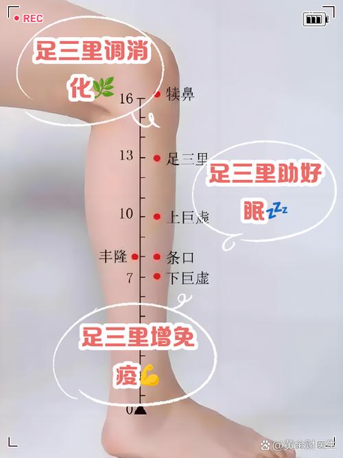 针灸足三里有什么好处