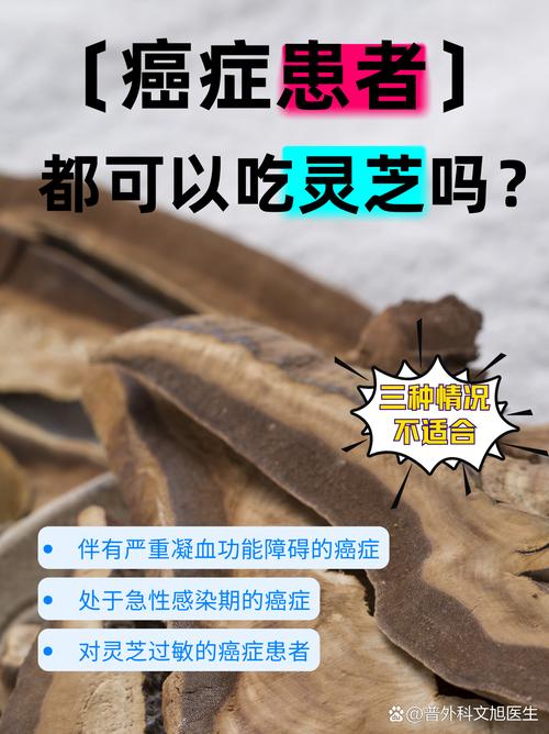 痛风患者可以吃灵芝吗
