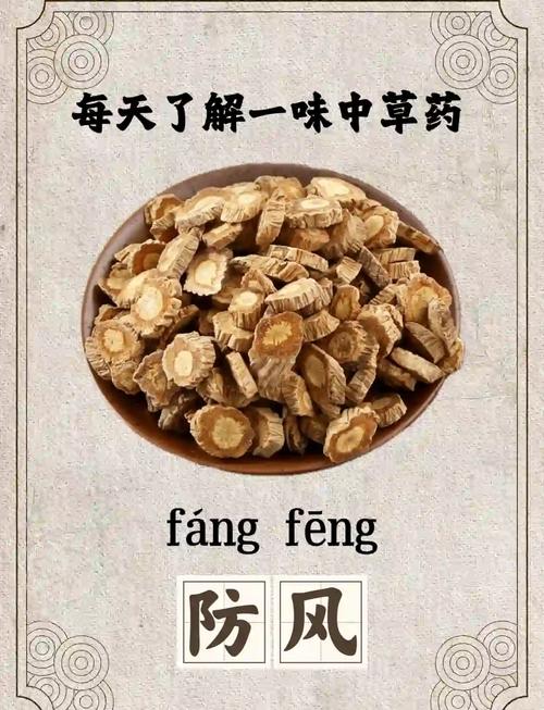 什么中药可以治疗痛风