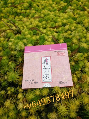 谷世喆针灸贴可以丰胸