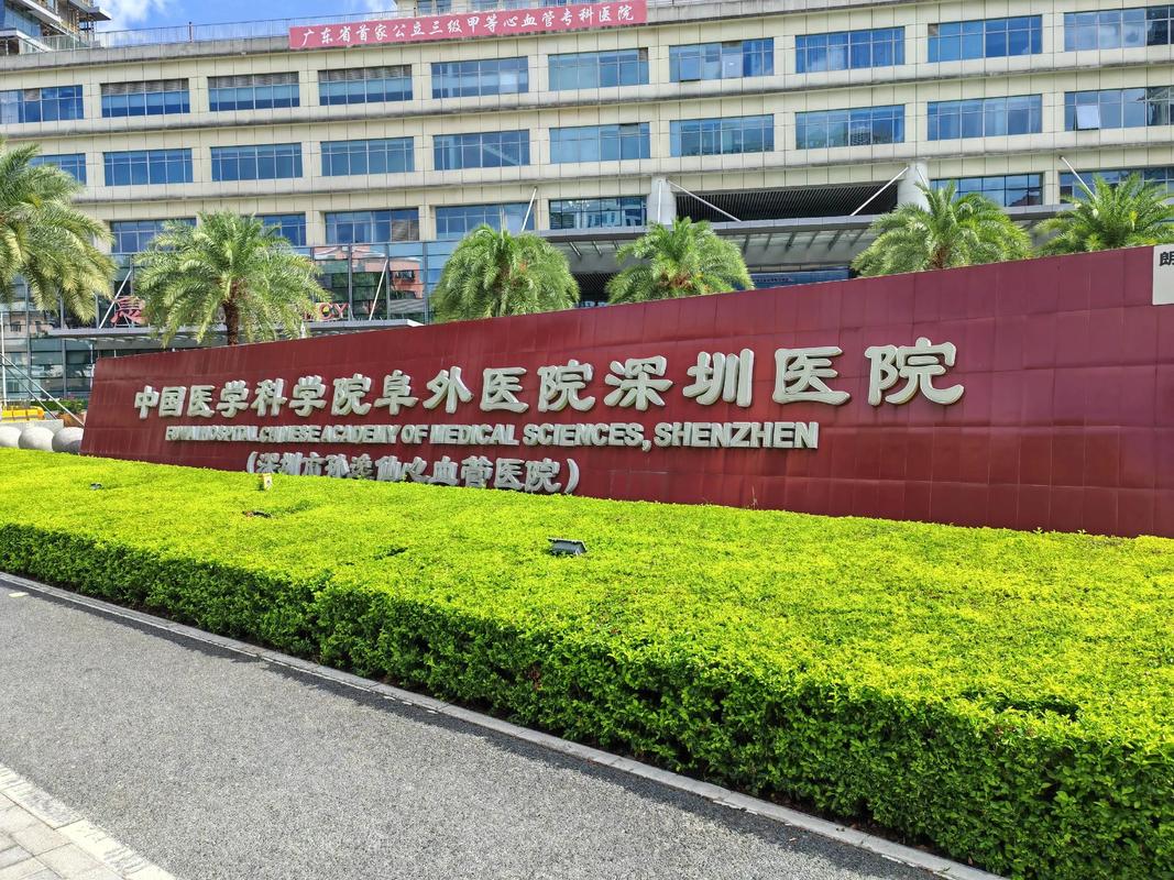 深圳治疗痛风最好医院